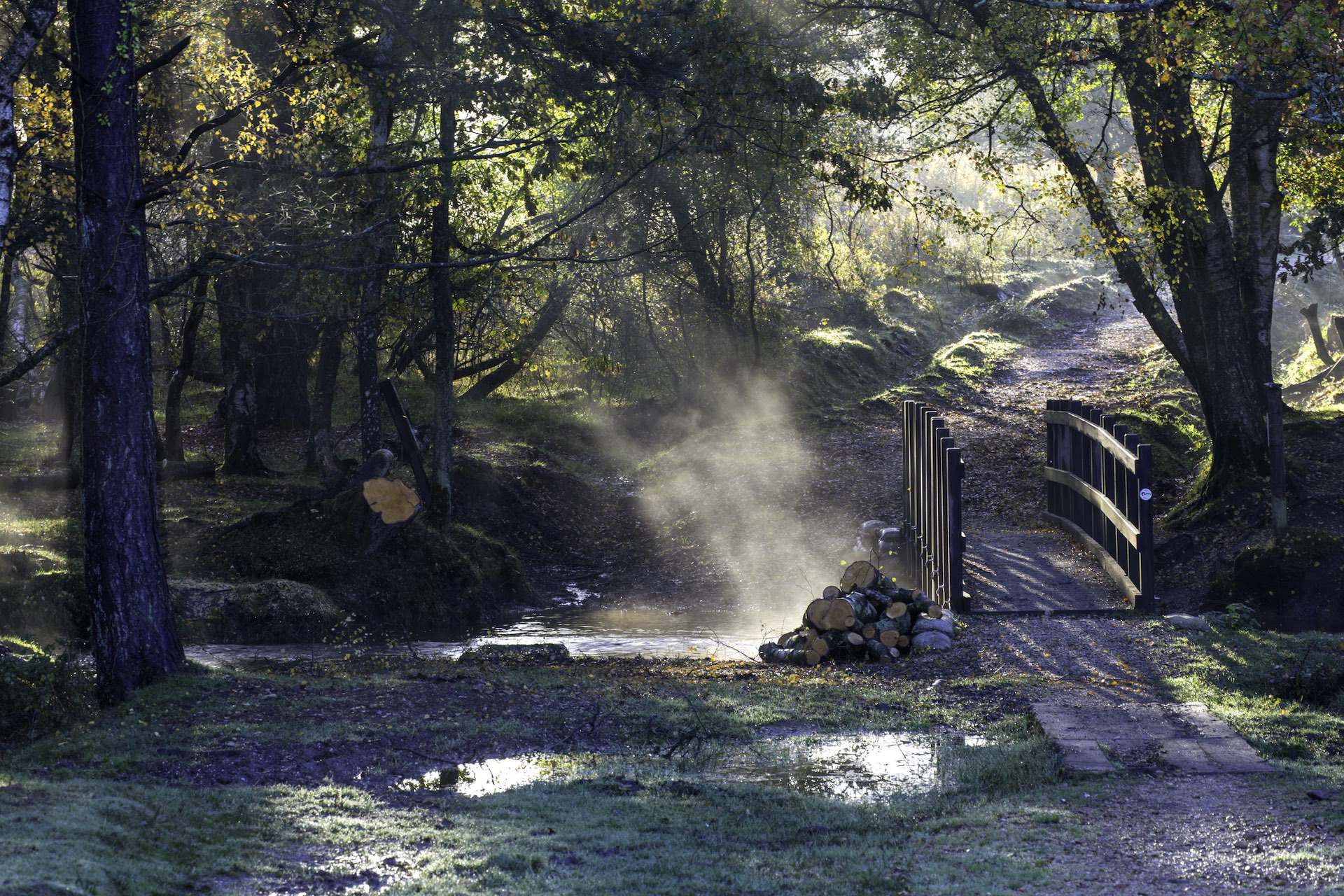 Photography by Mike Boss